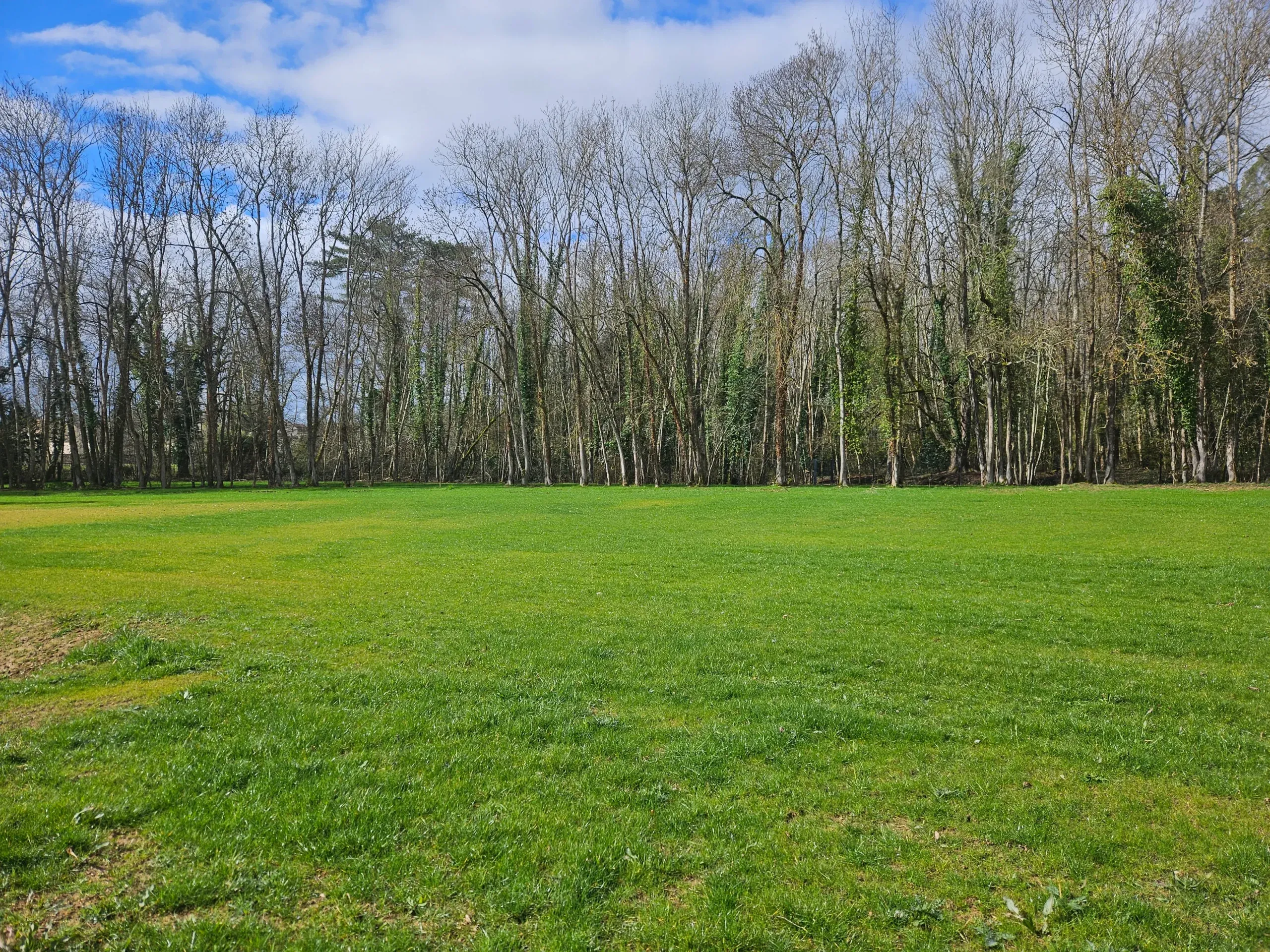 Vaste pelouse dense et régulière bordée par un bois, résultat d'un engazonnement – Hortiplan Paysagiste