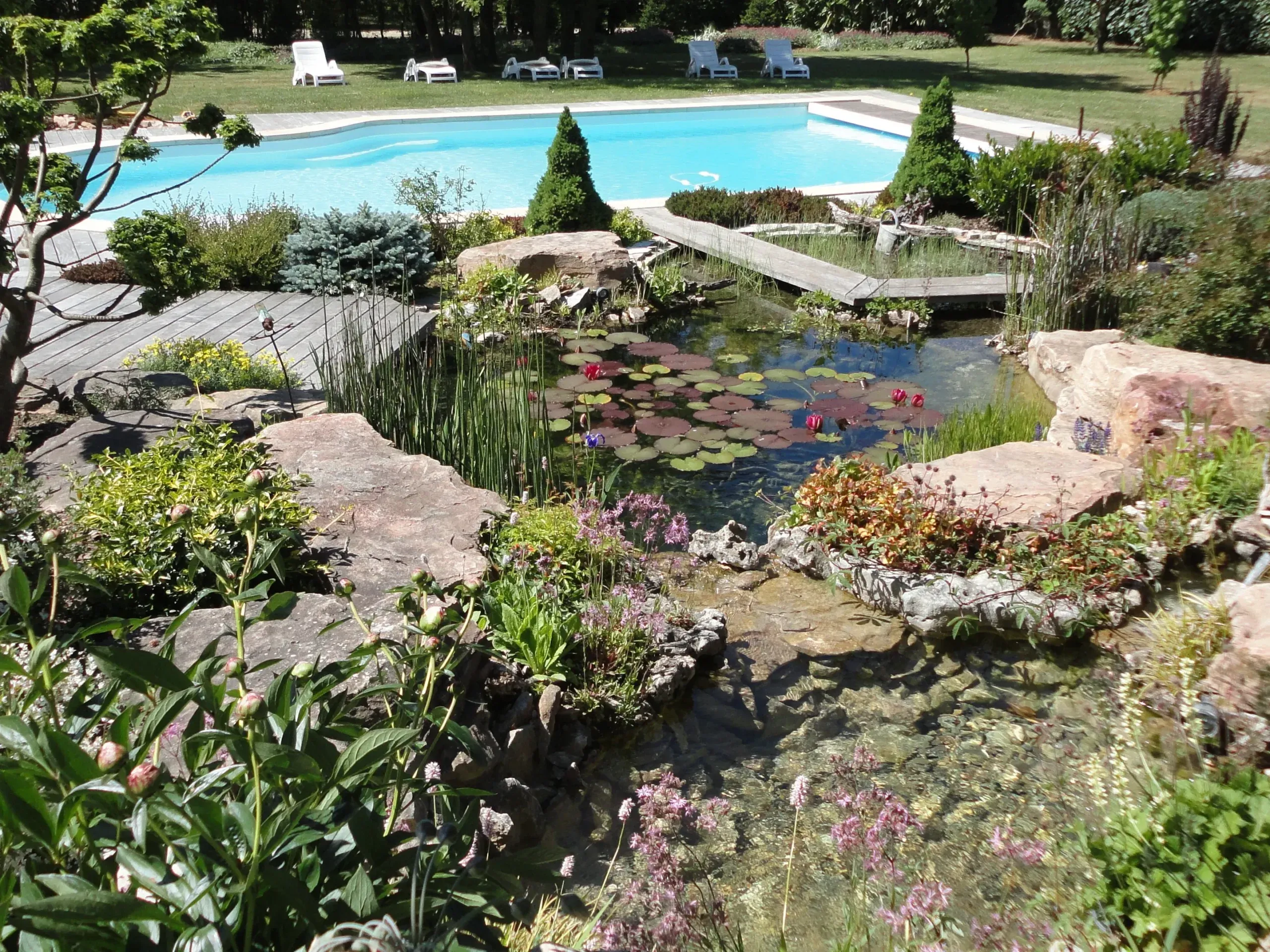 Bassin d'agrément aux berges en rocaille planté de vivaces devant une piscine – Hortiplan Paysagiste