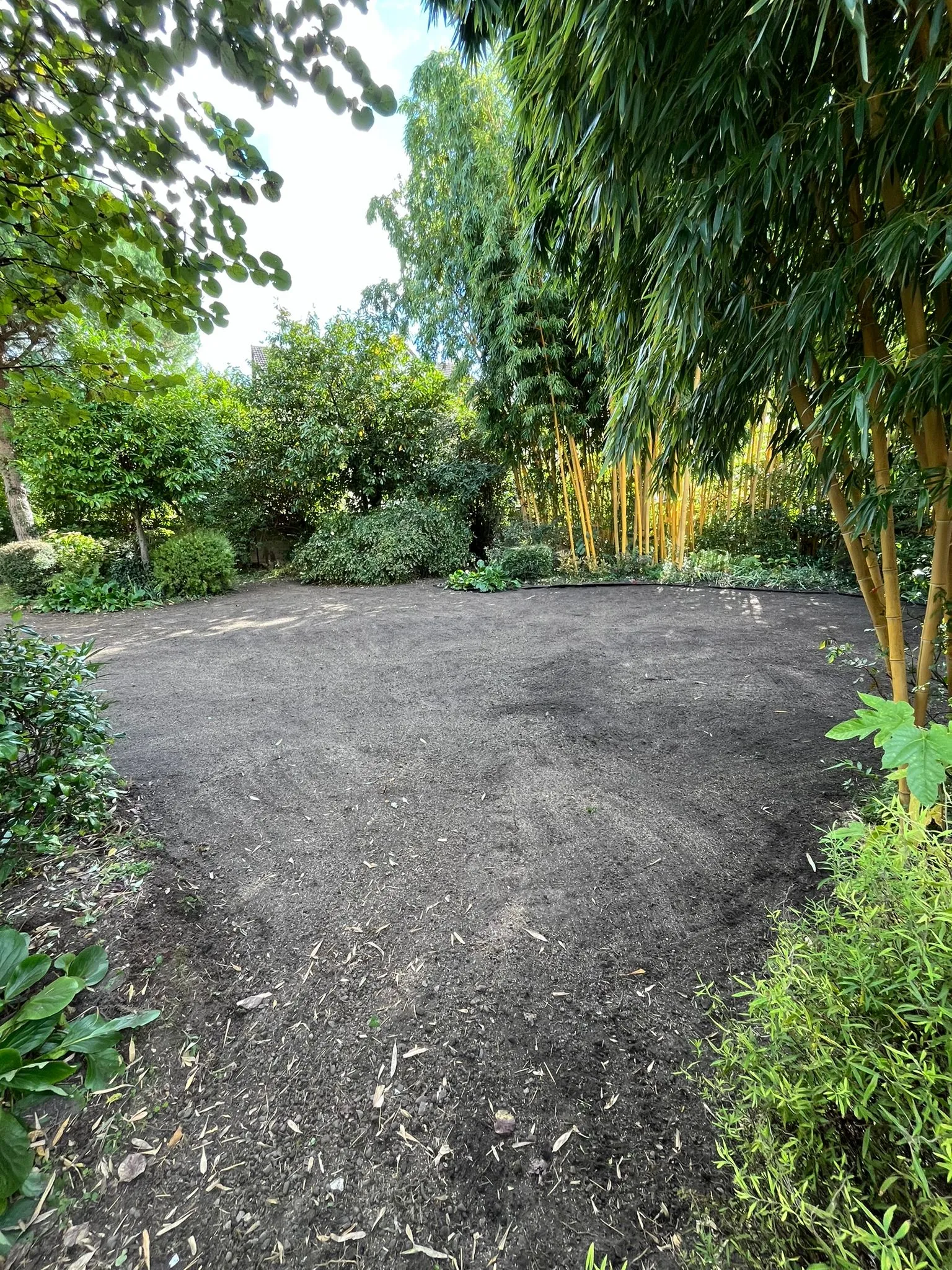 Allée en cours de terrassement bordée de bambous et de massifs arbustifs – Hortiplan Paysagiste