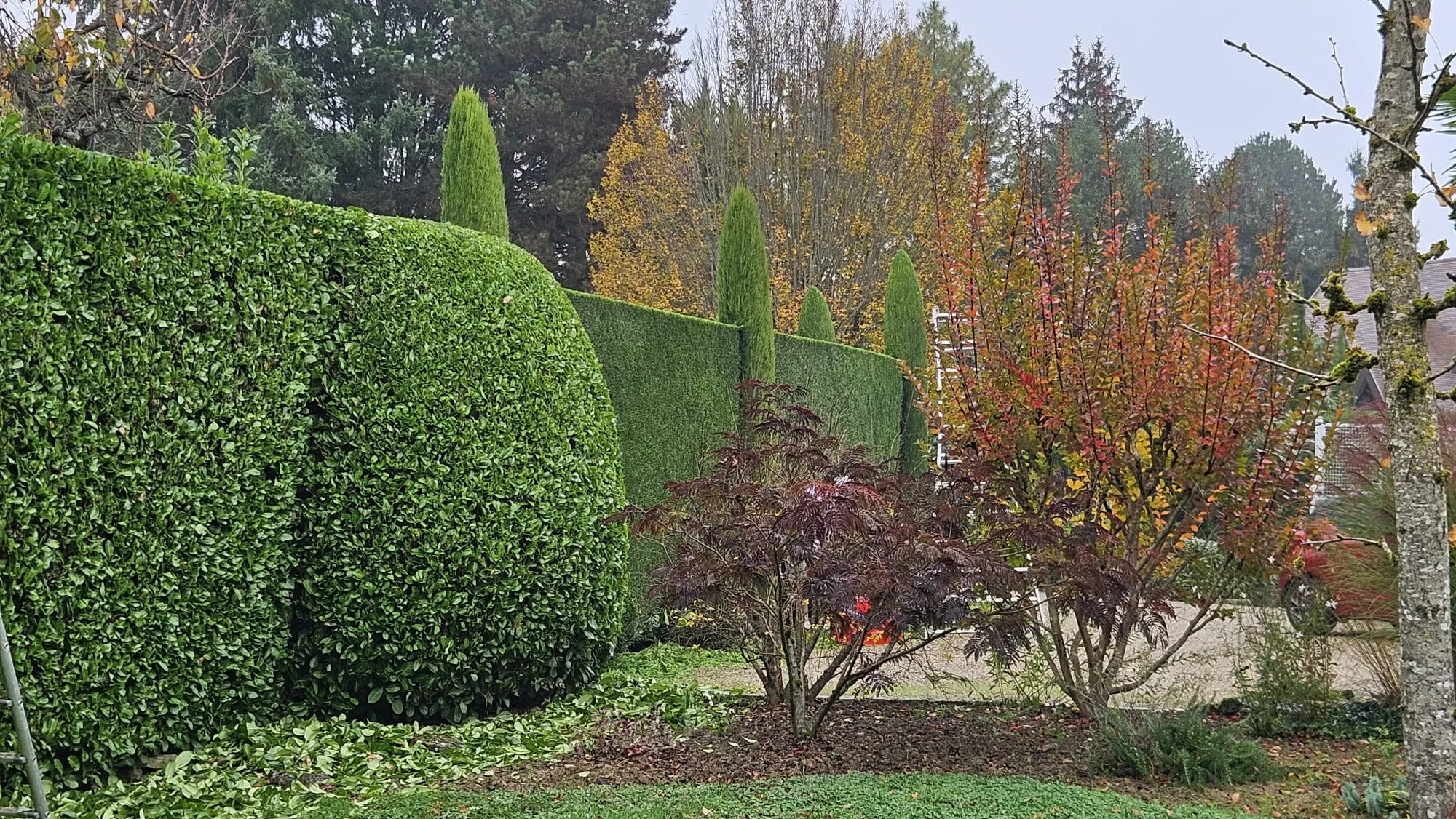 Massif d'arbustes au feuillage automnal planté devant une haie taillée – Hortiplan Paysagiste