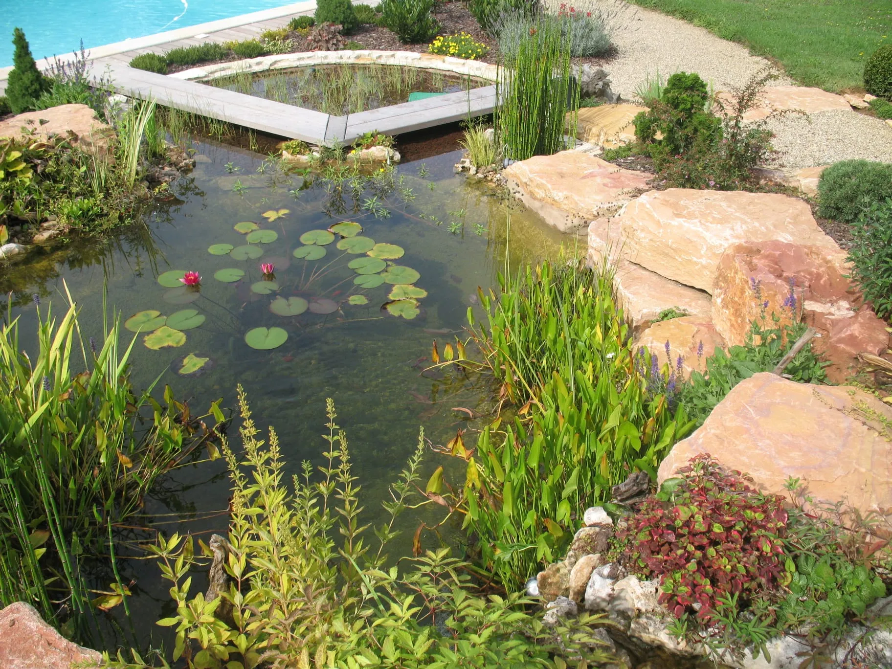 Bassin planté de nénuphars bordé de rochers avec bassin miroir en pierre, jardin d'eau – Hortiplan Paysagiste