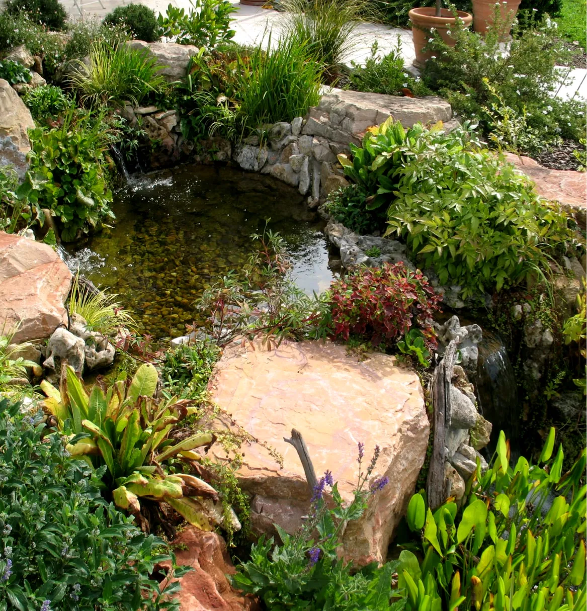 Bassin bordé de pierres naturelles avec cascade et plantes aquatiques, aménagement de jardin d'eau – Hortiplan Paysagiste